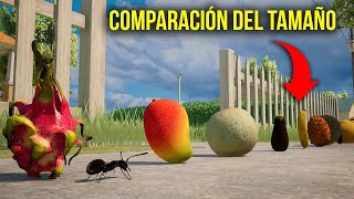 La FRUTA más grande del mundo NO es la que imaginas 🍉😱