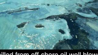 The Story of Oil-TEL 313