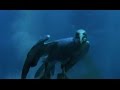 Torpedo Gannet Diving! | Nature's Great Events w/ David Attenborough | BBC