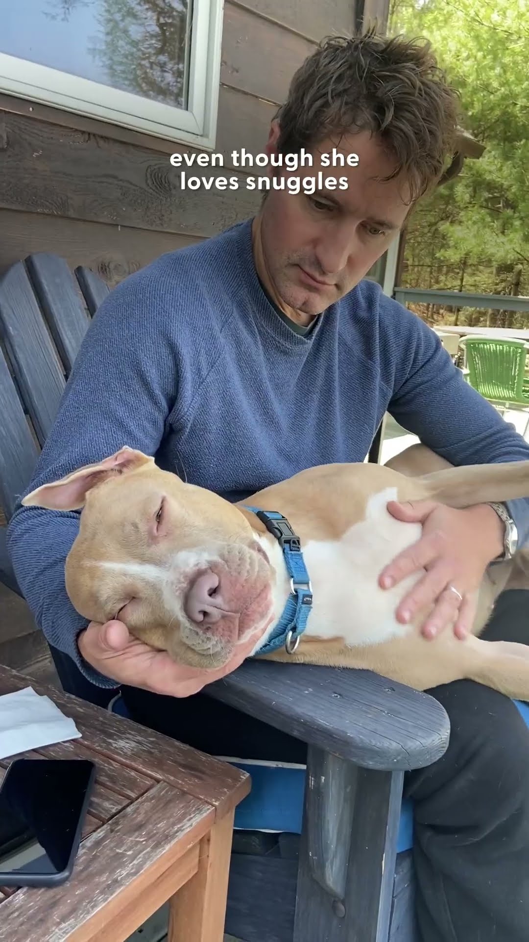 Foster Pittie's Christmas Wish Is A Family | The Dodo
