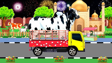 Sapi Belang Terbesar diangkut Truk Oleng Pawai Takbiran Keliling Idul Adha 2025