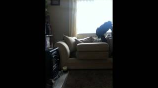 Sofa Slip