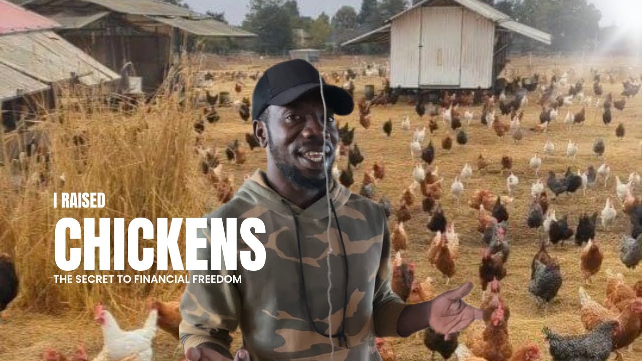 I Raised Chickens and Discovered the SECRET to Financial Freedom.