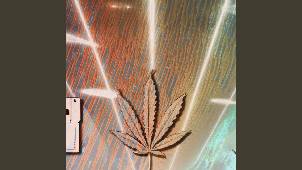 Elevated State of Mind