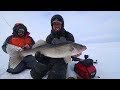 Huge walleyes ice fishing on mille lacs compilation