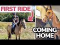 WE BRING BRYNI HOME ~ First ride on my 3.5 year old pony