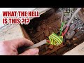 Worst electrics I’ve seen yet ?! (1920’s Renovation Part 31)