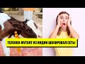 После этого чуда ахнули все! Теленок-мутант с двумя головами: чудо природы - фото подорвало сеть!