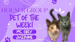 Pet of the Week: Ms. Grey & Josephine!