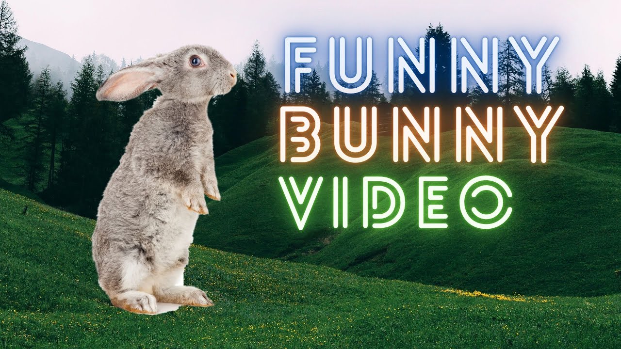 Funny Baby Rabbit Video | Bunny Compilation | NEW FUNNY PET VIDEO | A ...