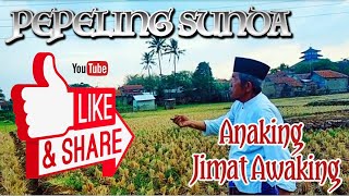 PEPELING SUNDA - ANAKING JIMAT AWAKING