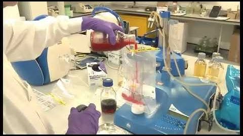 Testing food & water for possible contamination