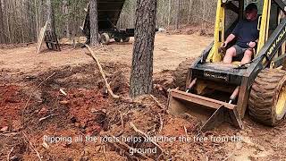 How to use a stump bucket and push over a tree.