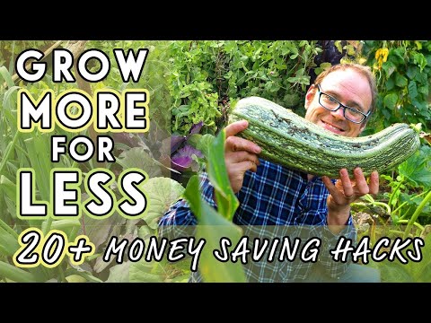 Video: Baštanje na novčić – jeftine baštenske potrepštine i štedljivi saveti za baštu