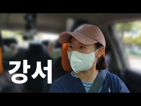 [라이브 고고씽] ♥ 강서면허시험장 <strong>도로주행</strong> 코스연습