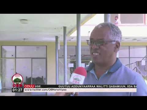 Mana Barumsaa Muuziqaa Yaared