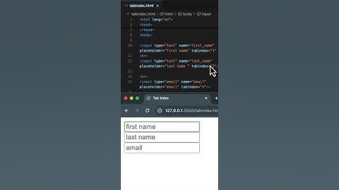 "Tab Index in HTML Urdu Tutorial by Abdul Aleem Baig - Tips and Tricks