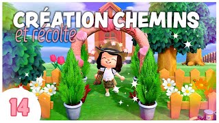 🛣️ On trace les chemins ! #14 | Animal Crossing New Horizons