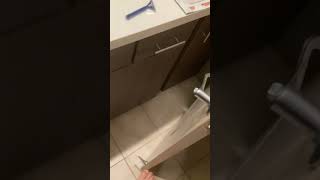 IMG 0831