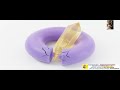 THE MECHANISTIC PRINCIPLES OF DNA REPLICATION - Biology by Harcharan Sir live