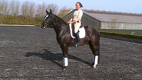 Samba1 5 yr old by Rotspon.mpg