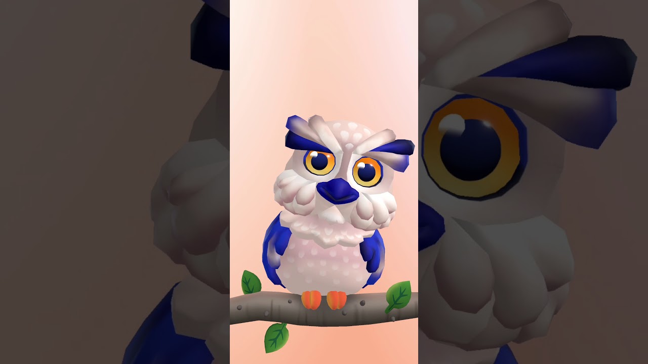 Owl - YouTube