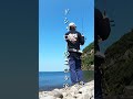 浅いゴロタ浜でもアオリイカは釣れるんです #shorts #エギング #釣り