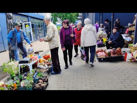 видео: Вася не смог продать картошку на киевском рынке.