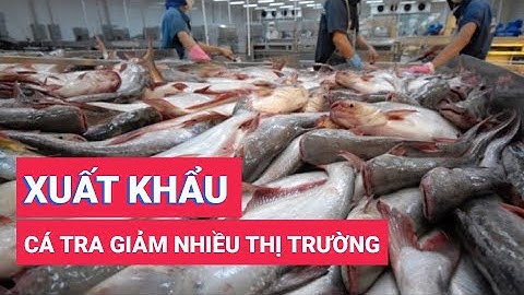 Vì sao xuất khẩu cá tra giảm ở hầu hết các thị trường?