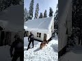 雪との戦い:長い道具で屋根の雪を片付ける知恵
