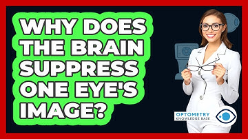 Why Does The Brain Suppress One Eye