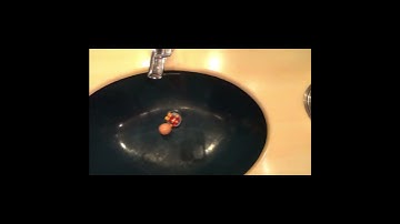 【プロの発想】ピタゴラスイッチ×洗面台　pythagoraswitch　Rube Goldberg machine