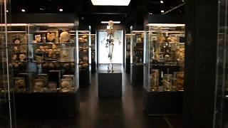 Download lagu Vrolik Museum Amsterdam 2017 Vrolik Museum Amsterdam 2017