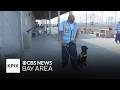California prisons lean into raising service dogs as form of rehabilitation