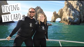 SCUBA DIVING IN CABO | Lands End & Pelican Rock Dive