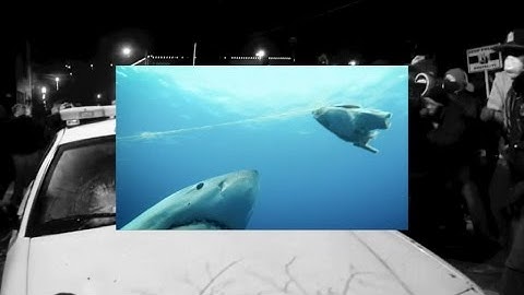 Apollo Noir - Official Album Teaser