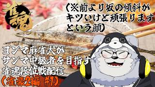 ヨンマ麻雀犬がサンマ中級者を目指す雀魂段位戦配信(雀豪2編 #1)【牧島 磨穂郎】