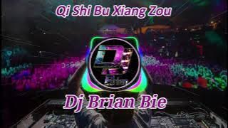 Qi Shi Bu Xiang Zou 其實不想走 Remix By Dj Brian Bie