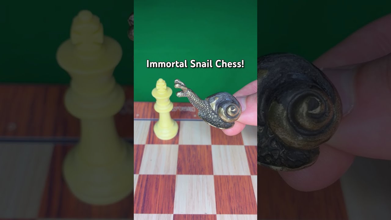 Immortal Snail Chess! #shorts #chess #memes