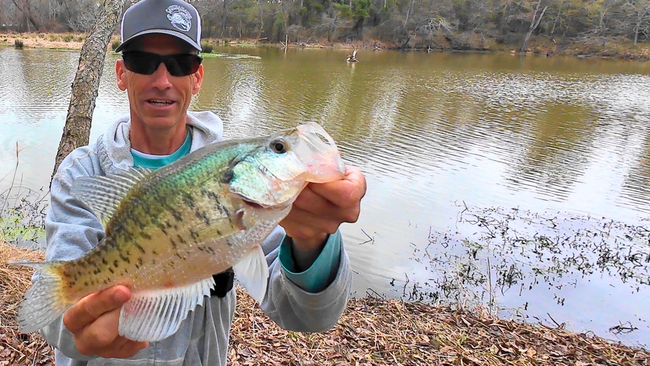 Searching for Crappie Along the Creek