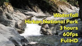 Waterfall. Hirkan National Park. 3 hours, 60fps, FullHD