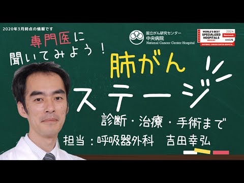 肺がんの診断・治療・手術：肺がんのステージ【国立がん研究センター中央病院】