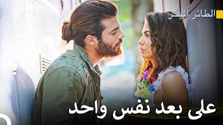 متطفل في موقع التصوير - مسلسل الطائر المبكر