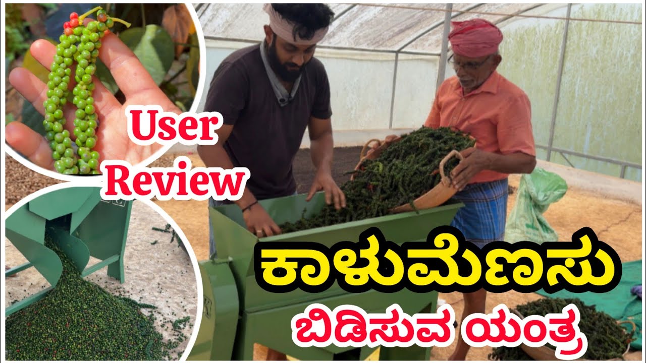 ಕಾಳುಮೆಣಸು ಬಿಡಿಸುವ ಹೊಸ ಯಂತ್ರ | Black Pepper Deconing Machine | Black Pepper Thresher | Pepper Farming