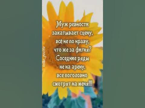 С юмором о любви… - YouTube