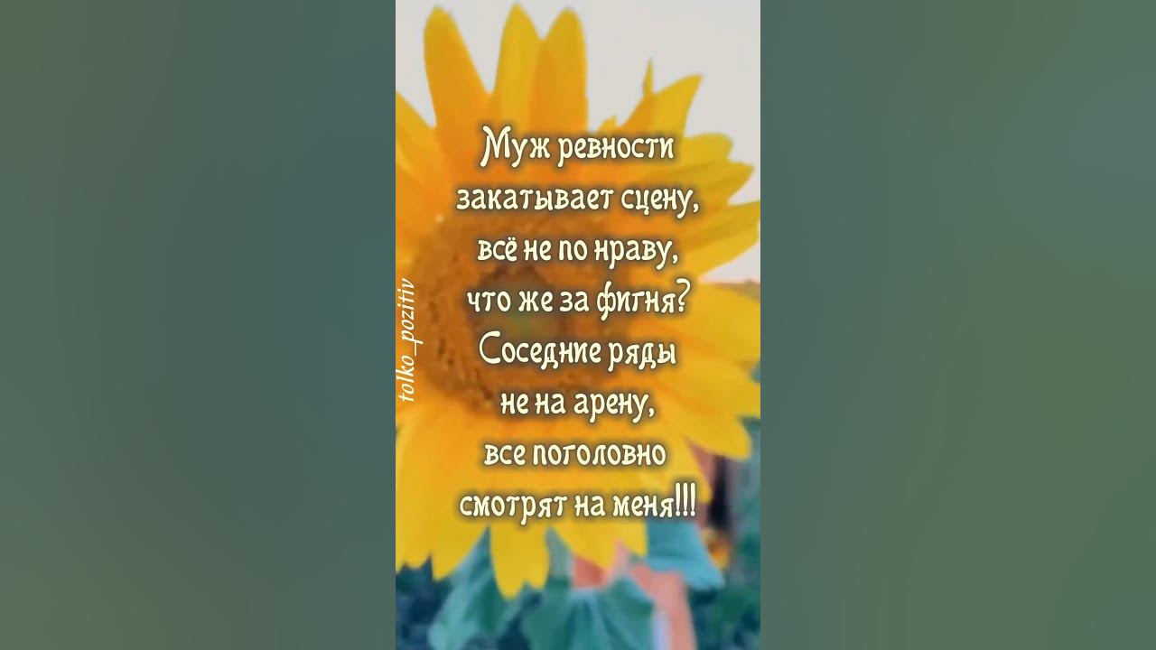 С юмором о любви… - YouTube