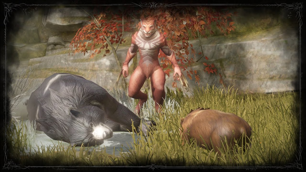 Pathfinder WoTR. Swiss army knife shifter for unfair.