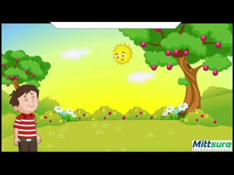 Aasamaan Mein Sooraj Ek      Hindi Poem for Kids  Kids Hindi RhymesSongs  Mittsure