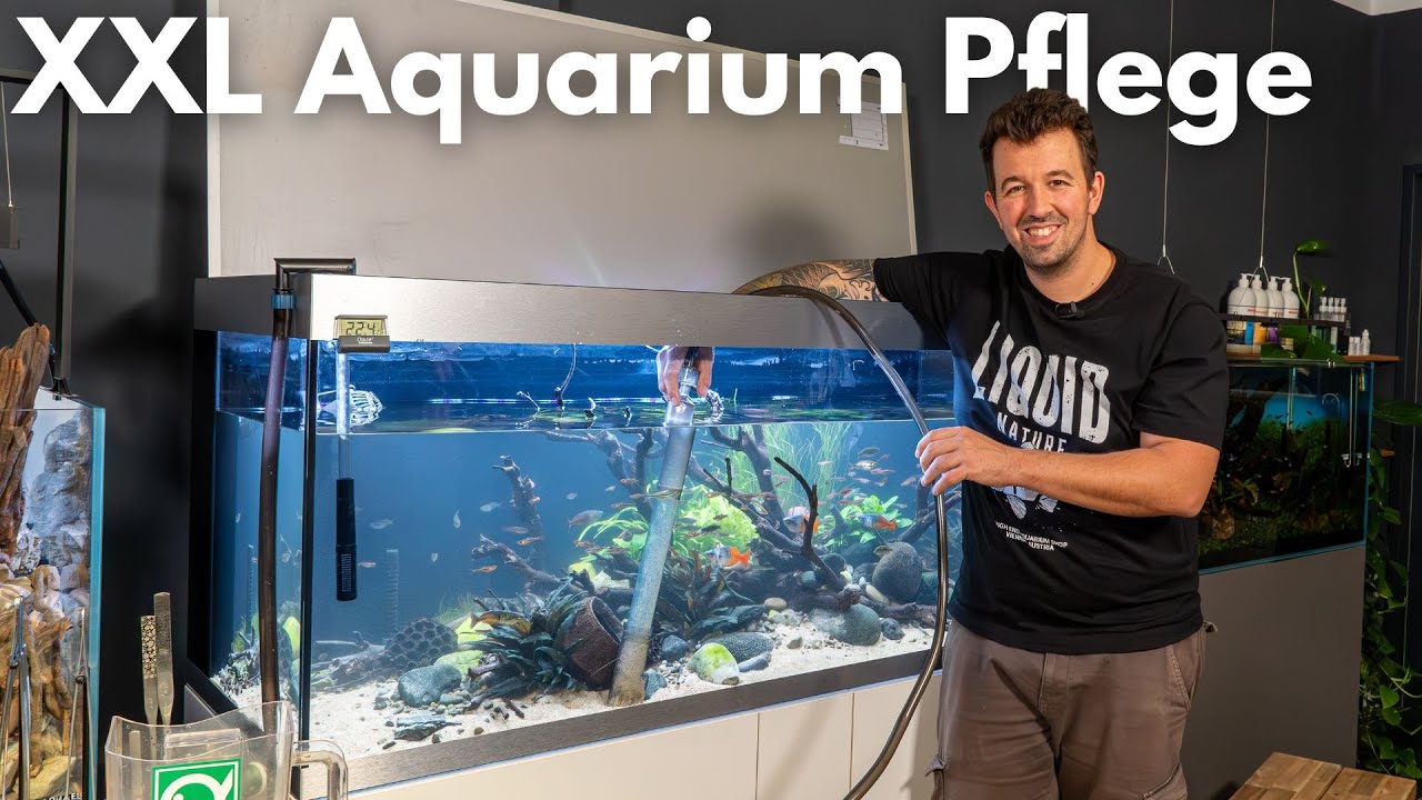 XXL Aquarium Pflege und Wasserwechsel!