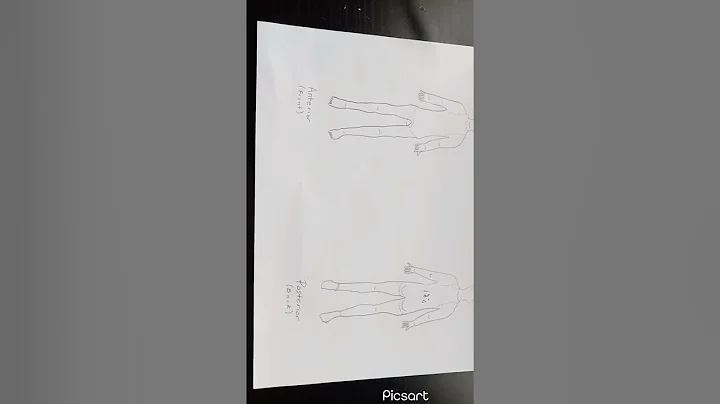 Anatomy